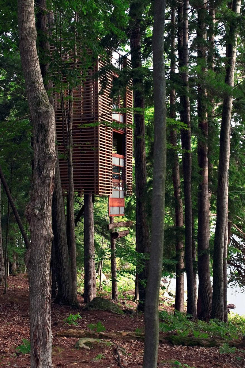 Illustration for article titled 8 Buildings Designed to Incorporate the Trees Around Them